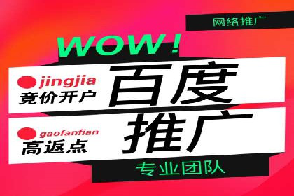百度推广渠道拓展，成功案例分析